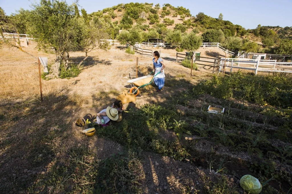 چرا روستا گزینه عالی برای کسب‌وکار و فروش اینترنتی است؟