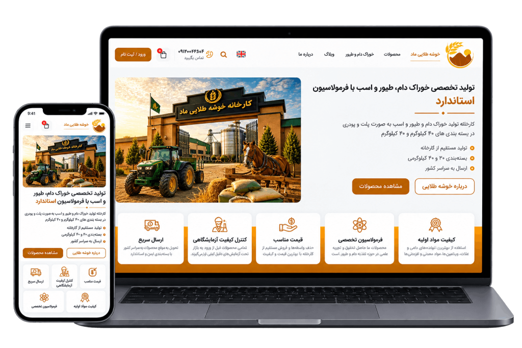 نمونه کارهای رامیس