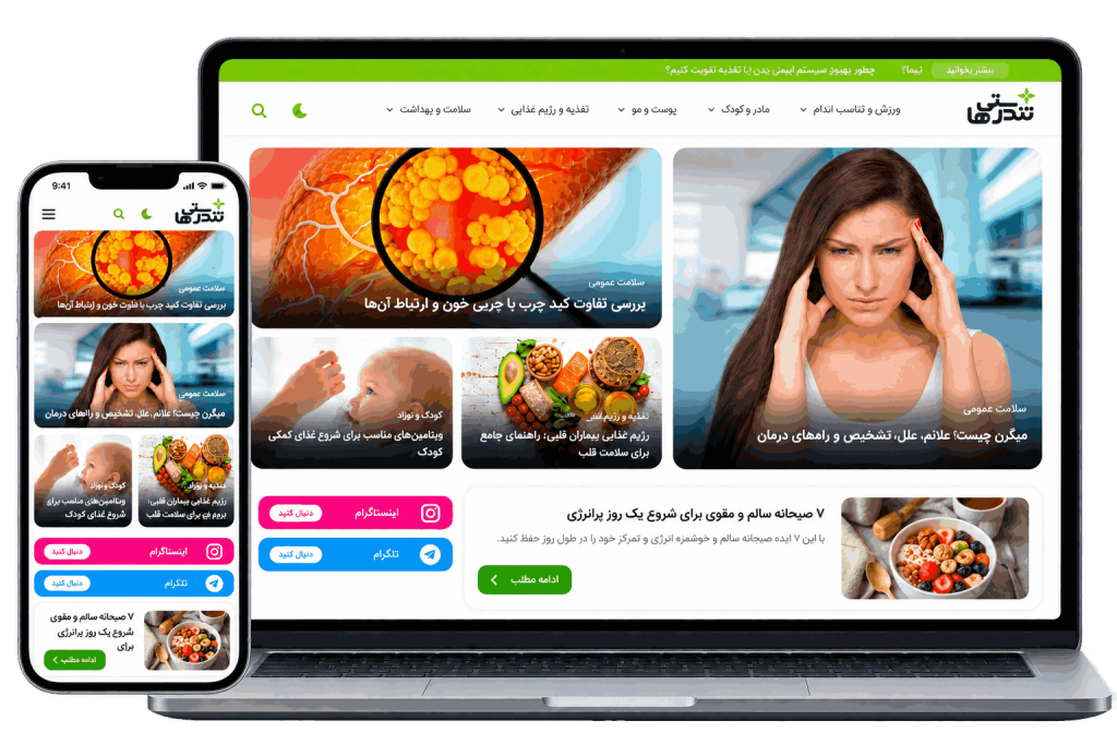 نمونه کارهای رامیس
